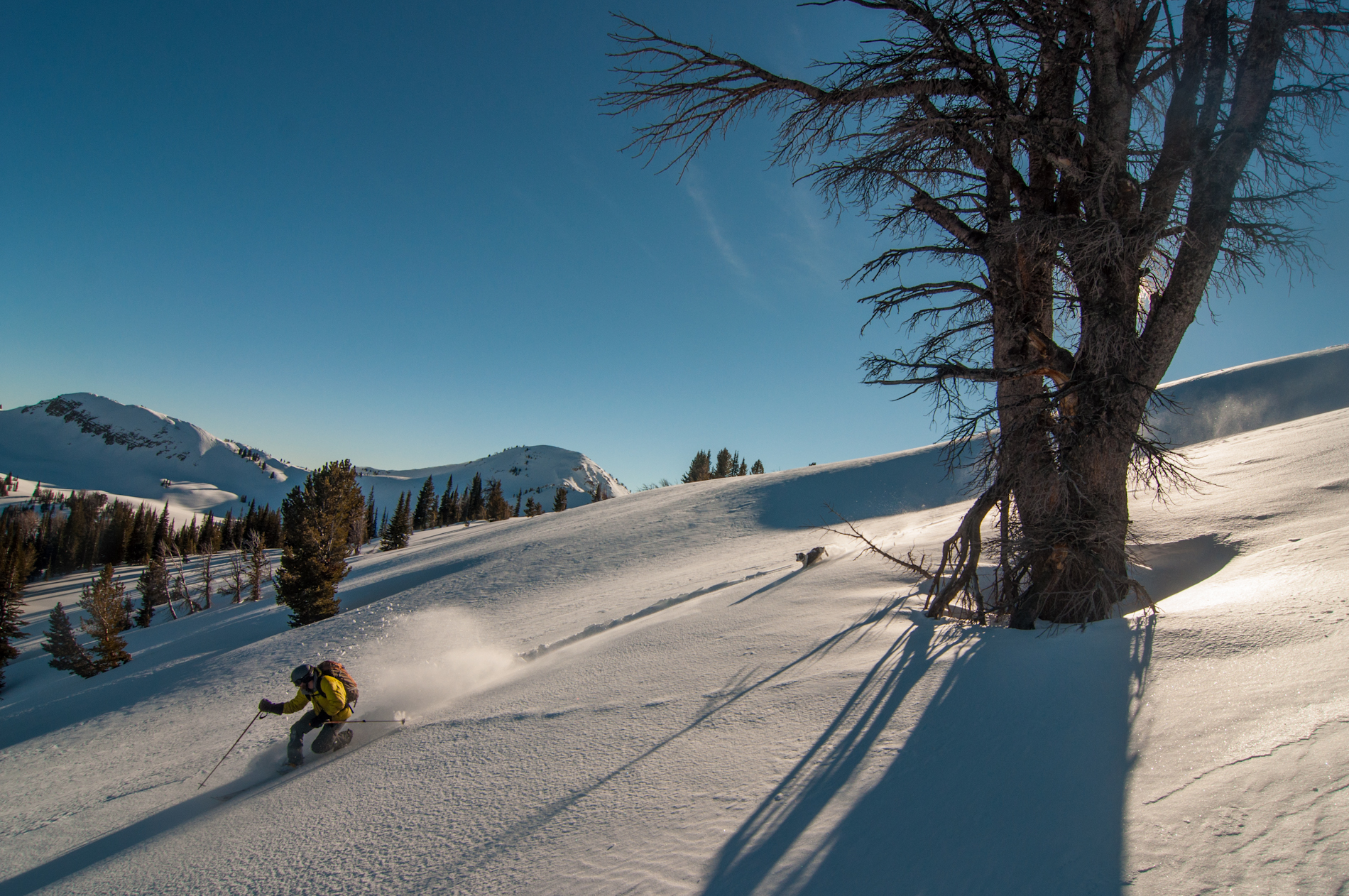 Rob and Finn catch some late afternoon powder turns